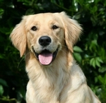 IMG-Eike-mini_555802