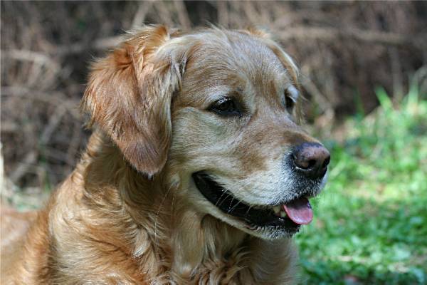 Happymover Chacon IMG_4935.b Happymover Chacon IMG_4935.b