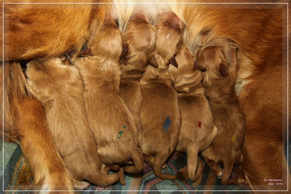 CCIMG_7059 CCIMG_7059