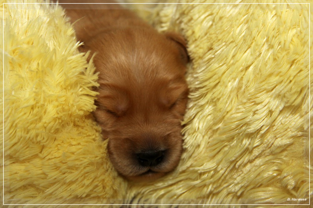 CCIMG_7153 CCIMG_7153