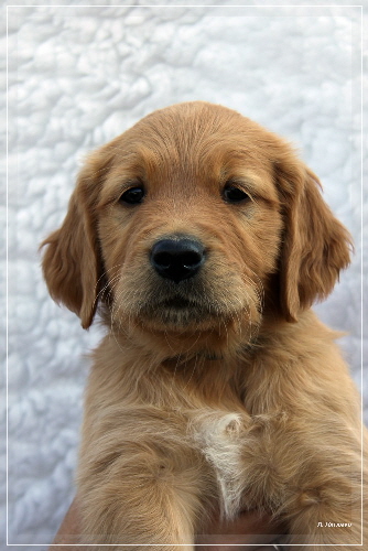 CCIMG_7460 CCIMG_7460