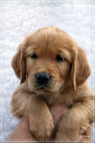 CCIMG_7463 CCIMG_7463