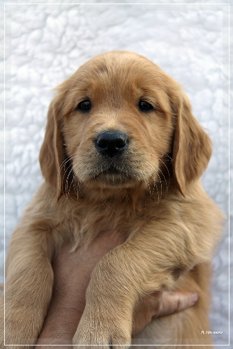 CCIMG_7466 CCIMG_7466