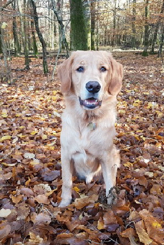 HP20181111_115805 HP20181111_115805