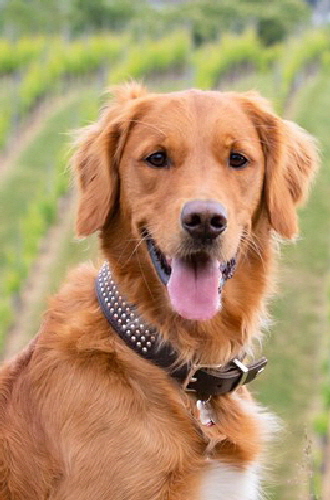 fbBuddy_2jahre_web_06 fbBuddy_2jahre_web_06