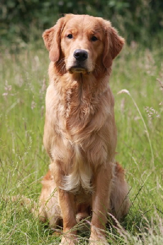 hpIMG_0224 hpIMG_0224