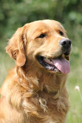 hpIMG_0279 hpIMG_0279