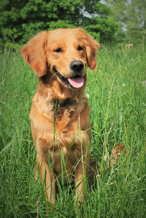 fb!cid_FB15C56A-3876-44D4-B955-3A28B28025A5