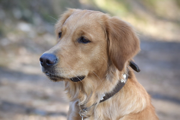 !cid_19D9B987-F582-4734-B2EB-A3DAEA3D6FF4