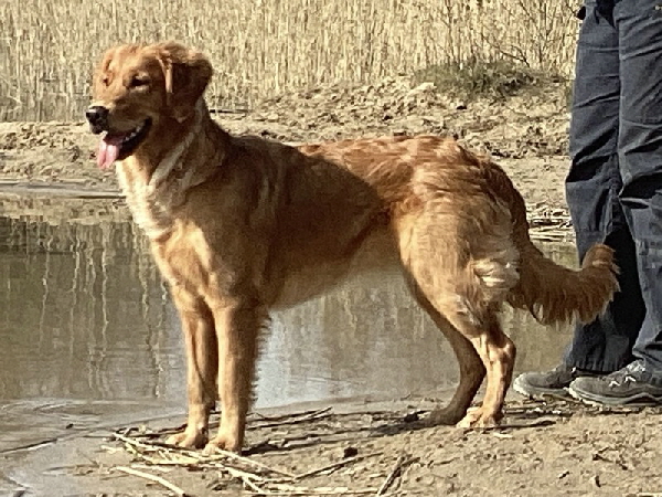 22.03.22 (01), Baggersee Sieversdorf